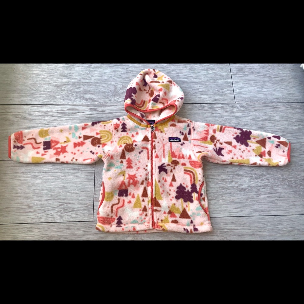 Patagonia Synchilla Fleece Hooded Jacket